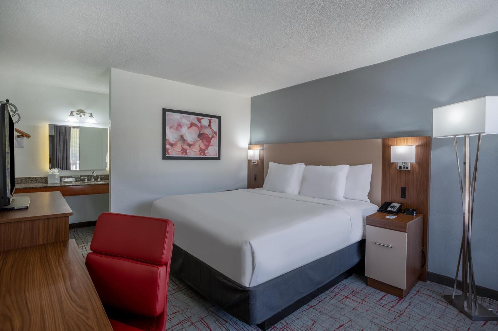 מלון Wyndham Garden Columbia-Ft Jackson מראה חיצוני תמונה